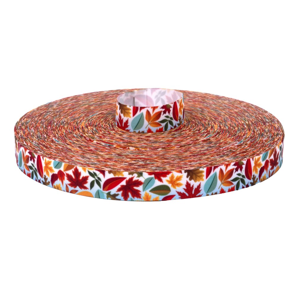 Country Brook Design - Brisk Autumn Grosgrain Ribbon (5/8 Inch, 10 Yards)