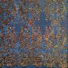 Phoebe Iridescent Orange Gold Sequins on Black Mesh Lace Fabric by The Yard - 10062 view 3