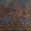 Phoebe Iridescent Orange Gold Sequins on Black Mesh Lace Fabric by The Yard - 10062 view 4