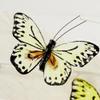 Factory Direct Craft Group of 12 Shades of Yellow Artificial Feathered Butterflies with Clips for Summer Floral Arrangements and Displays view 3