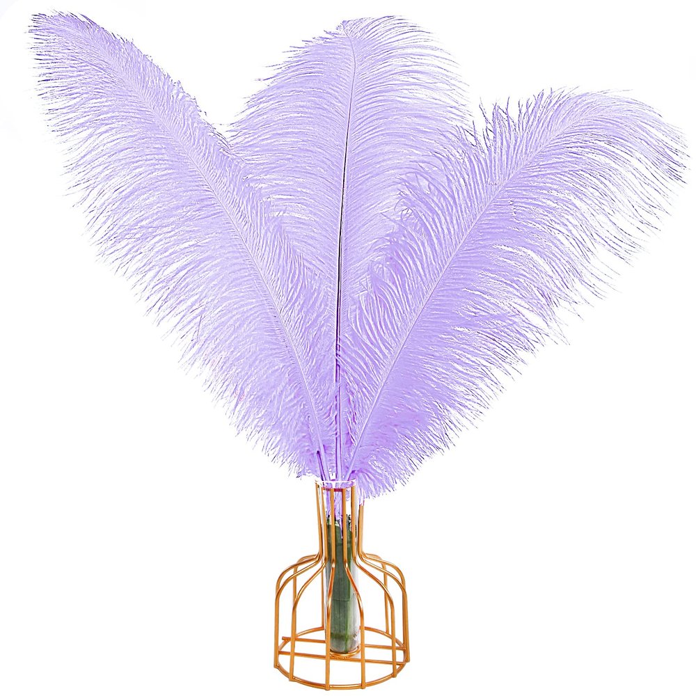 THARAHT Lavender Ostrich Feathers 12pcs Large Natural Bulk 12-14Inch 30cm-35cm for Wedding Party Centerpieces Easter Gatsbi and Decoration Feather