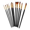 Operitacx 12pcs Hair Artist Paint Brush Watercolor Oil Painting Versatile Fine Detail Brushes Birch Handles for Beginners and Professionals view 1