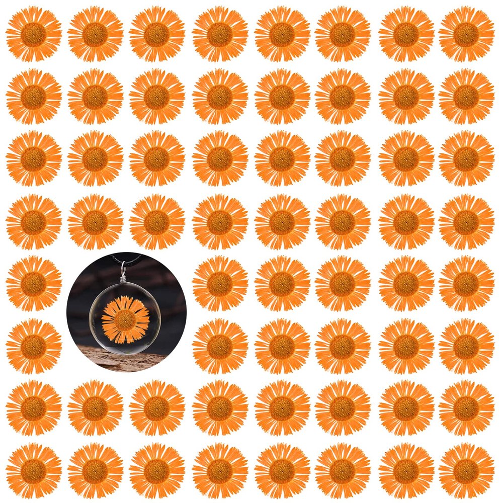 60PCS Dried Flowers for Resin, Orange Pressed Dry Needle Chrysanthemum Flowers for Candle Making Desk Lamp Craft DIY Jewelry Phone Case House Decoration