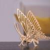 3D Cardboard Model to Assemble - Butterfly view 2