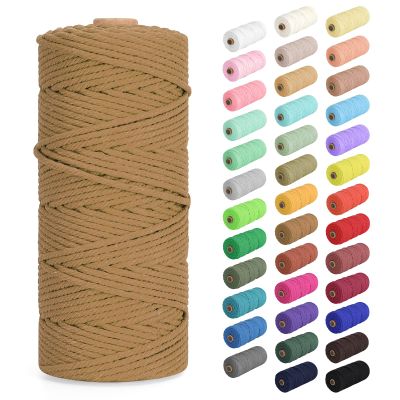 Macrame Cord 2mm x 220Yards (656Feet), Natural Cotton Macrame Rope - 2 Strands Twisted Macrame Cotton Cord for Wall Hanging, Plant Hangers, Crafts, Gift Wrapping and Wedding Decorations, Caramel