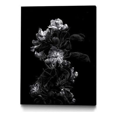 Giant Art Canvas 24x32 Dark Blossoms Framed in Multi-Color
