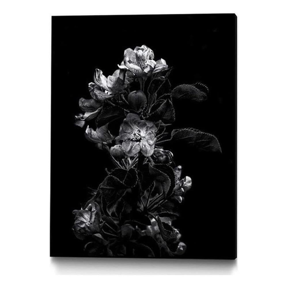Giant Art Canvas 24x32 Dark Blossoms Framed in Multi-Color