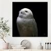 Giant Art Canvas 30x30 Snowy Owl Looks to the Sun Framed in White view 3