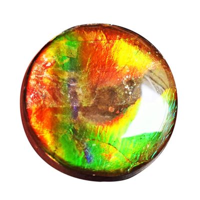 SilverO Natural Canadian Ammolite Fire Cabochon Green Blue Flashy Size 23x23x6 MM Pendant Making Stone Ammolites Can Increase Stamina and Relieve Trauma AG-14916