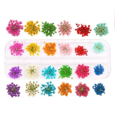 1Box Dried Flowers Dry Plants for Resin Molds Fillings Epoxy Resin Pendant Necklace Jewelry Making Craft DIY Nail Art Decoration (Color : Style9)
