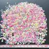 EHOPE Fake Sprinkles Resin Sprinkles Fake Candy Sprinkles Clay Sprinkles Polymer Sprinkles Polymer Clay Slices for Nail Art DIY Crafts Cake Phone Case(40G-Sugar granules+Cherry Blossoms-19) view 4