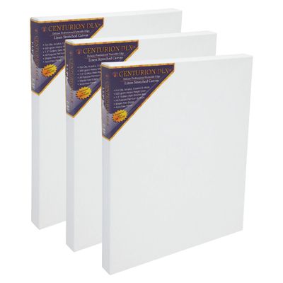 Centurion DLX Acrylic Primed Linen Stretched Canvases - 1.5" Deep Acrylic Primed Linen Canvas for Artists, Acrylics, Painting, Professionals, & More! - [3 Pack - 20x20]