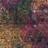 Ornate Hearts - Multi Purple Green Concord - 112213880 - Island Batik - Midnight Glow view 1