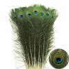 THARAHT 24pcs Peacock Feathers Long Natural in Bulk 40-45 inch 100-115 cm for Vase Craft Vase Wedding Home Party Christmas Day Decoration Peacock Feathers view 1