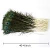 THARAHT 24pcs Peacock Feathers Long Natural in Bulk 40-45 inch 100-115 cm for Vase Craft Vase Wedding Home Party Christmas Day Decoration Peacock Feathers view 2