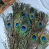 THARAHT 24pcs Peacock Feathers Long Natural in Bulk 40-45 inch 100-115 cm for Vase Craft Vase Wedding Home Party Christmas Day Decoration Peacock Feathers view 3