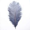 100Pcs/lot 15-70CM Gray Plume Crafts Natural Ostrich Feathers Handwork DIY Home Party Large Feathers Jewelry Wedding Decoration - Zamihalaa view 4