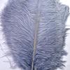 100Pcs/lot 15-70CM Gray Plume Crafts Natural Ostrich Feathers Handwork DIY Home Party Large Feathers Jewelry Wedding Decoration - Zamihalaa view 2