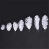 White Ostrich Feather Decor 15-70cm Big Long Ostrich Feathers Crafts Carnaval on The Middle of The Table Centerpiece Decorative - 100 Pcs view 2
