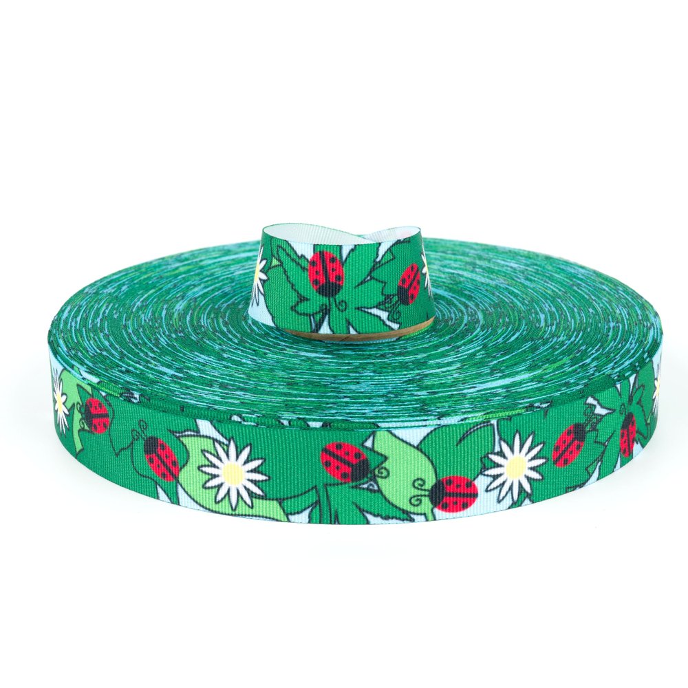 Country Brook Design - Ladybugs Picnic Grosgrain Ribbon (5/8 Inch, 5 Yards)