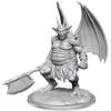 Dungeons & Dragons D&D Nolzur's Marvelous Miniatures: Paint Kit Nycaloth - All-in-One Kit, for All Level Painters, Display Or Use with Your Tabletop Roleplaying Games view 1
