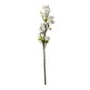 Ashland Cream Blossom Spray, 12 Pack view 4