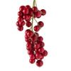 Ashland Red Berry Cluster Spray, 12 Pack view 3