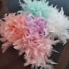 homeemoh Natural Turkey Feathers Trim for Costume Sewing Crafts Feather Fringe Trim 4-6 Inch in Width Pack of 1 Yard,Rubber Red view 4