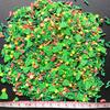 EHOPE Fake Sprinkles Fake Christmas Sprinkles Fake Candy Sprinkles Clay Sprinkles Polymer Sprinkles Polymer Clay Slices for Nail Art DIY Crafts Cake Phone(40G-Big Christmas Tree-38 view 4