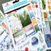 Paper House Productions Green Leaves Planner Stickers Multipack (Pack of 3) view 3
