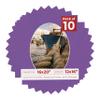 16x20 Mat Bevel Cut for 12x16 Photos - Precut Dark Purple Oval Shaped Photo Mat Board Opening - Acid Free Matte to Protect Your Pictures - Bevel Cut for Family Photos, Pack of 10 Matboards view 1