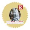 22x28 Mat Bevel Cut for 16x20 Photos - Precut Soft Yellow Oval Shaped Photo Mat Board Opening - Acid Free Matte to Protect Your Pictures - Bevel Cut for Family Photos, Pack of 10 Matboards view 1