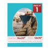 16x20 Mat Bevel Cut for 12x16 Photos - Precut Aquamarine Blue Oval Shaped Photo Mat Board Opening - Acid Free Matte to Protect Your Pictures - Bevel Cut for Family Photos, Pack of 1 Matboard view 1