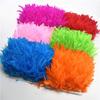 10Meters Fluffy Turkey Feathers for Crafts Ribbon Feather Trim Fringe Feather Dancer Carnival Costumes Wedding Decoration Plumas view 2