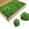 TurelinnG Preserved Moss 3 OZ Reindeer Craft Moss, Fake Moss Suitable for Flowerbeds, Crafts, Home Office Artistic Decoration Green view 1
