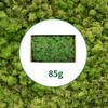 TurelinnG Preserved Moss 3 OZ Reindeer Craft Moss, Fake Moss Suitable for Flowerbeds, Crafts, Home Office Artistic Decoration Green view 2