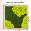 TurelinnG Preserved Moss 3 OZ Reindeer Craft Moss, Fake Moss Suitable for Flowerbeds, Crafts, Home Office Artistic Decoration Green view 4