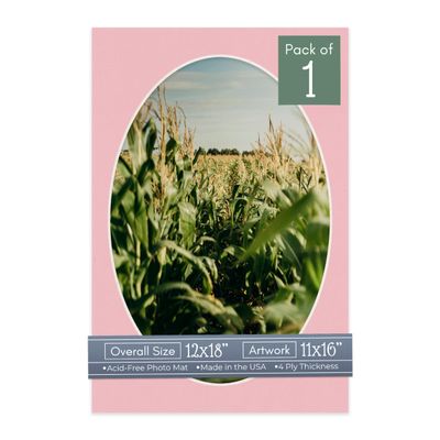 CountryArtHouse Pink Acid Free 12x18 Oval Picture Frame Mat with White Core Bevel Cut for 11x16 Pictures - Fits 12x18 Frame - Pack of 1 Matboard