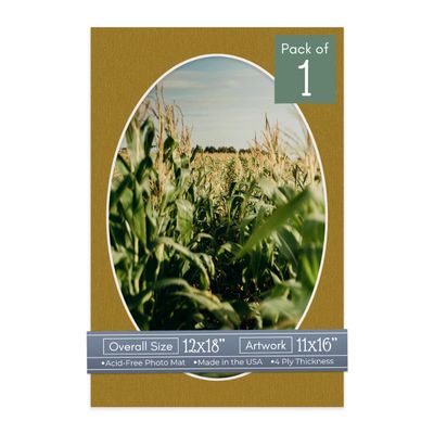 CountryArtHouse Metallic Gold Acid Free 12x18 Oval Picture Frame Mat with White Core Bevel Cut for 11x16 Pictures - Fits 12x18 Frame - Pack of 1 Matboard