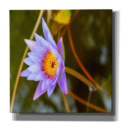 Epic Graffiti 'Floral Color Theory' by Epic Portfolio, Canvas Wall Art, 60"x40"