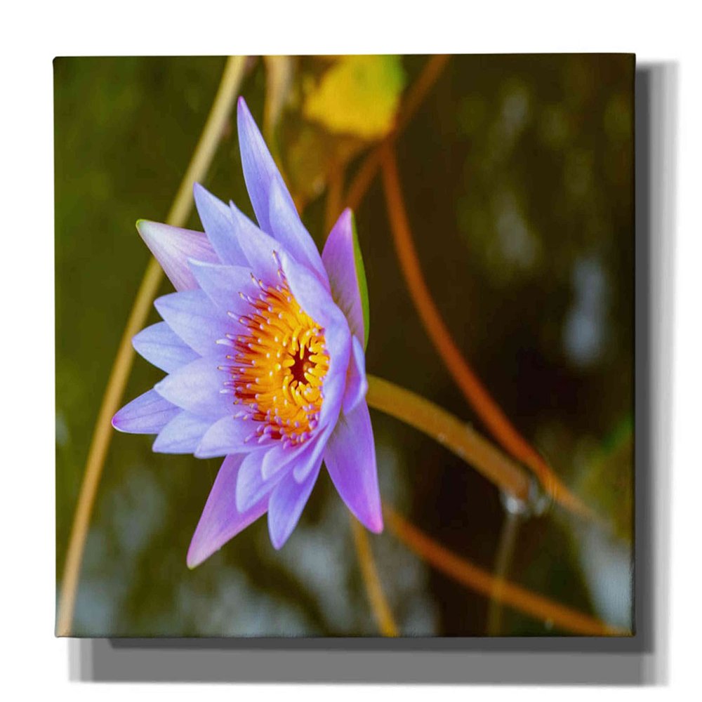 Epic Graffiti 'Floral Color Theory' by Epic Portfolio, Canvas Wall Art, 60"x40"
