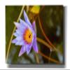 Epic Graffiti 'Floral Color Theory' by Epic Portfolio, Canvas Wall Art, 60"x40" view 1