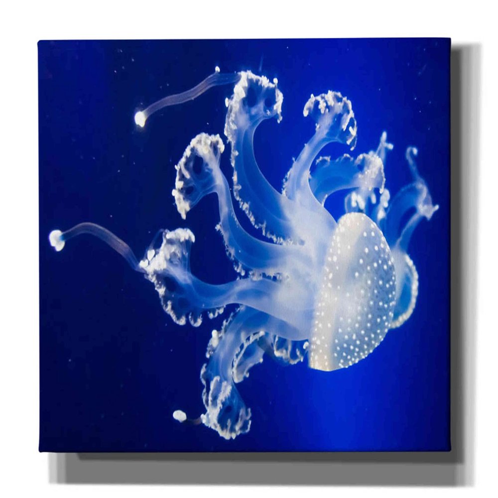 Epic Graffiti 'Translucent Jellyfish' by Epic Portfolio Giclee Canvas Wall Art, 60"x40"