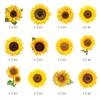 Paper House Productions Sunflowers 24-Piece Scrapbook Die-Cut Sticker Pack view 2