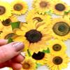 Paper House Productions Sunflowers 24-Piece Scrapbook Die-Cut Sticker Pack view 4