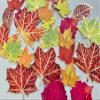 Paper House Productions Autumn Leaves 24-Piece Scrapbook Die-Cut Foil Accent Sticker Pack view 4