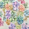 Paper House Productions Sweet Succulents 24-Piece Scrapbook Die-Cut Sticker Pack view 4
