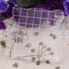 Transparent Clear Acrylic Block Pad , Acrylic Mounting Blocks for Clear Stamps , Acrylic Block Pad with Grid Lines for Art Crafts (5x5cm) , clear stamps acrylic blocks for stamps acrylic stamp block view 4