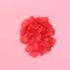 DIY Craft Hair Accessories 560pcs Plastic Petals Plastic Leaf Decor Jewelry Accessories for Fall Wedding Decor view 3