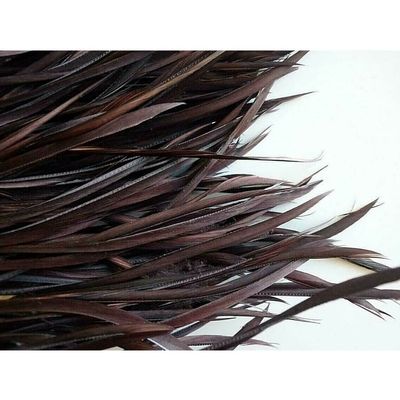 Goose Biots Feathers - 15 Pcs. Loose Milk Chocolate Brown - 6-9"